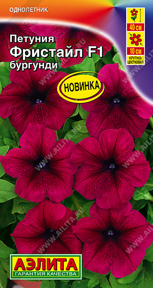 Петуния Фристайл F1 бургунди - фото Петуния Фристайл F1 бургунди - фото