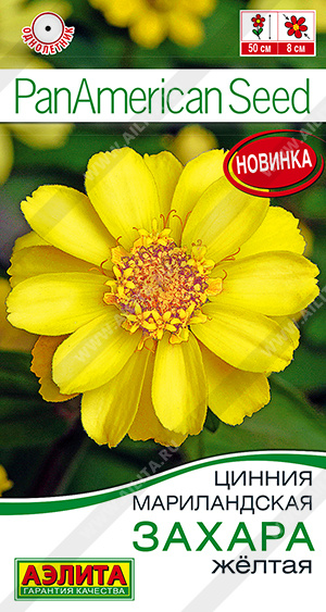 Цинния Захара жёлтая - фото Цинния Захара жёлтая - фото