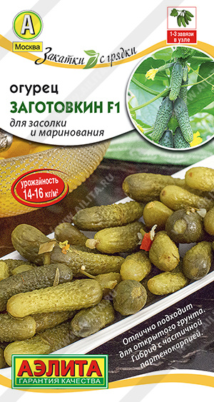   F1 - 