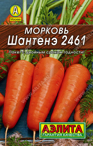 Морковь Шантенэ 2461 - фото