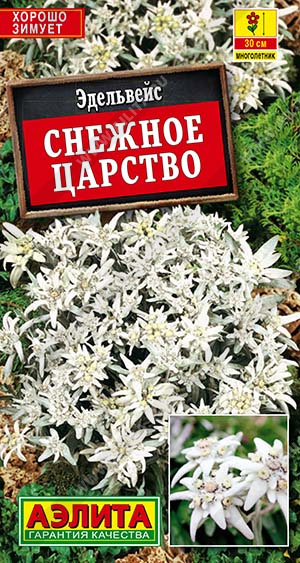 Эдельвейс Снежное царство - фото Эдельвейс Снежное царство - фото