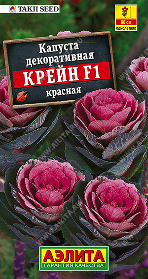     F1 - 