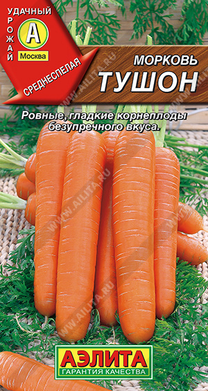 Морковь Тушон - фото