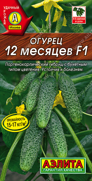  12  F1 - 