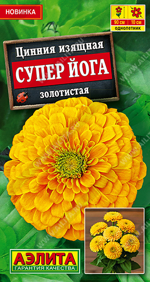 Цинния Супер йога золотистая - фото Цинния Супер йога золотистая - фото