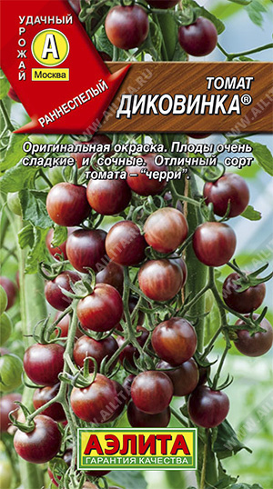 Томат Диковинка - фото