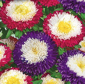 ����� ��������� ���������, ����������� ����� ������ (������� � ����� ������� � ���������� � ����� �������) - ����