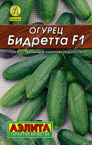   F1 - 