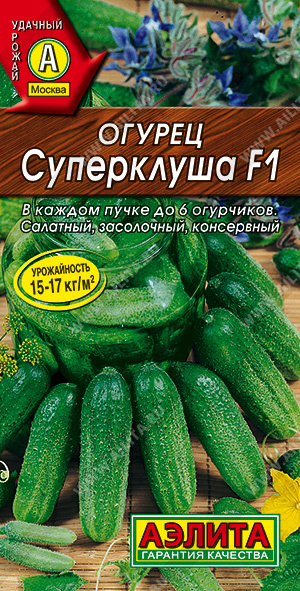   F1 - 
