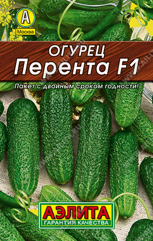   F1 - 