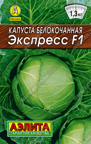  /  F1 - 