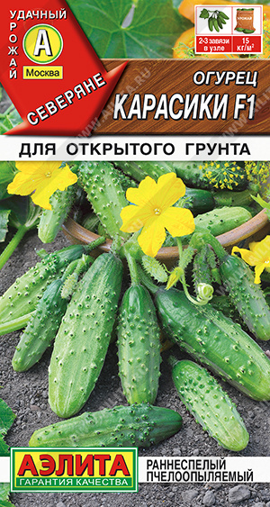   F1 - 