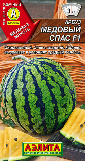    F1 - 