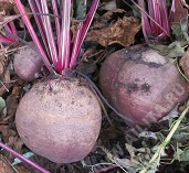     3 - 