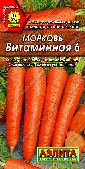 Морковь Витаминная 6 - фото