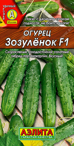   F1 - 