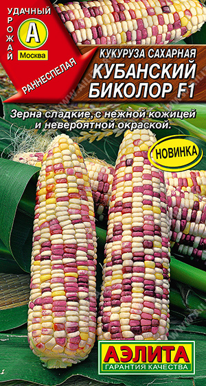 Кукуруза сахарная Кубанский биколор F1 - фото Кукуруза сахарная Кубанский биколор F1 - фото