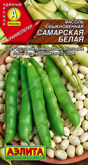 ������ ������������ ��������� ����� - ����