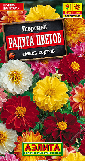 Георгина махровая Радуга цветов, смесь сортов - фото