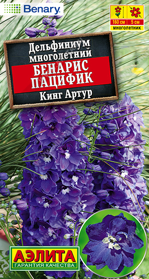 Дельфиниум Бенарис пацифик кинг артур - фото