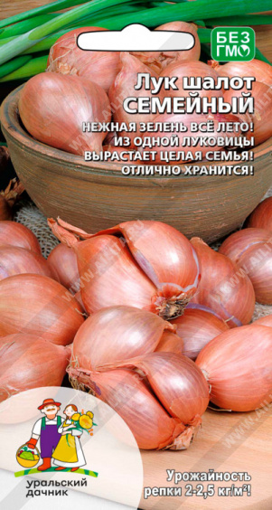 Лук шалот Семейный - фото Лук шалот Семейный - фото