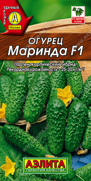   F1 - 