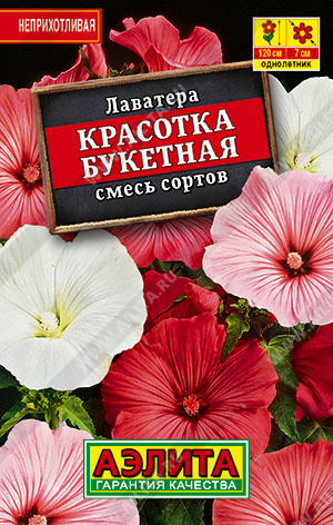 Лаватера Красотка букетная, смесь сортов - фото Лаватера Красотка букетная, смесь сортов - фото