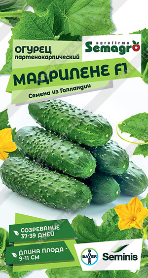   F1 - 