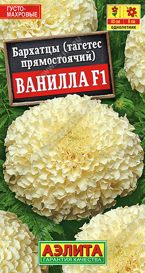   F1  - 