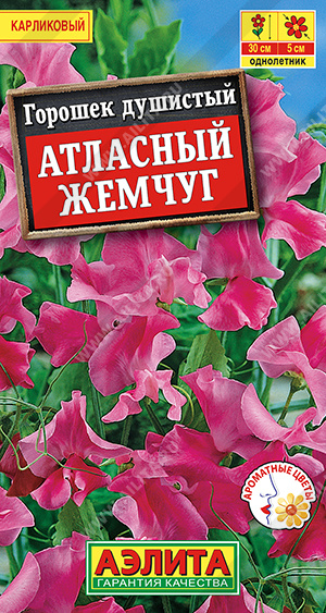 Горошек душистый Атласный жемчуг - фото Горошек душистый Атласный жемчуг - фото