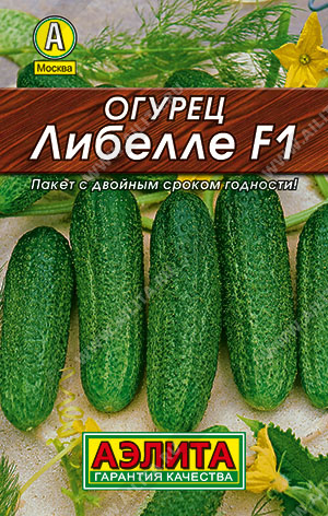   F1 - 