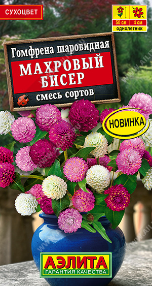 Гомфрена Махровый бисер, смесь сортов - фото Гомфрена Махровый бисер, смесь сортов - фото