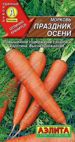 Морковь Праздник осени - фото