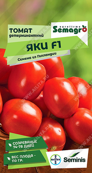   F1 - 