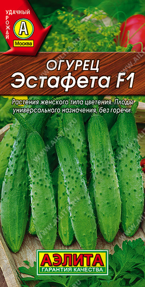   F1 - 